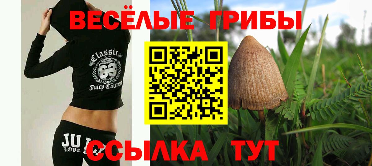 Псилоцибиновые грибы мицелий  Псилоцибиновые грибы мухоморы  Гудермес  Вход с VPN 