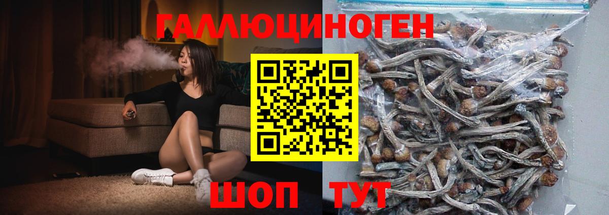 Псилоцибиновые грибы GOLDEN TEACHER Гудермес