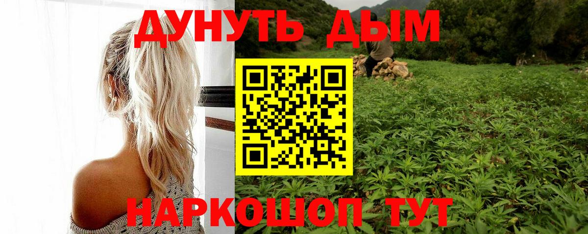 Гудермес  Бошки марихуана сатива  МАРИХУАНА тримм  Вход с VPN 